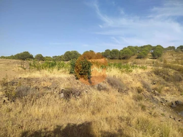 Terreno para Venda em Odeleite