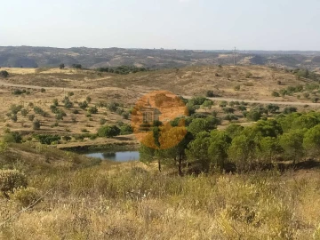 Terreno para Venda em Odeleite