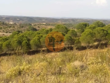 Terreno para Venda em Odeleite