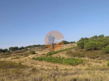 Terreno para Venda em Odeleite