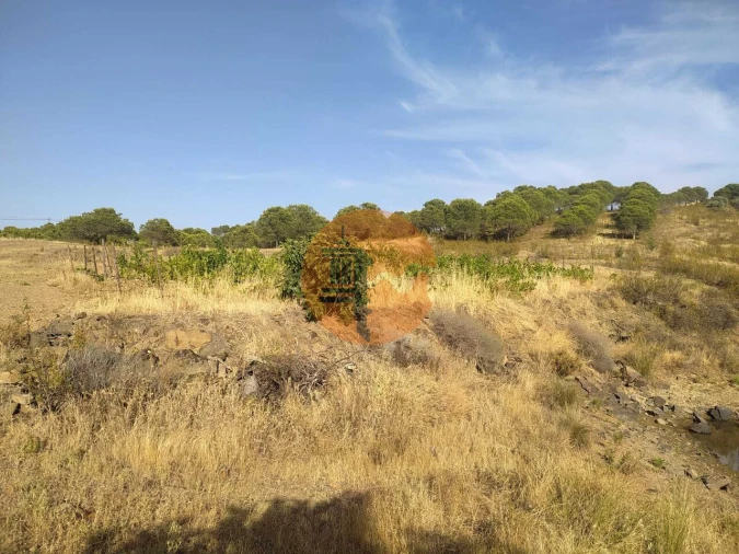 Terreno para Venda em Odeleite Foto 3