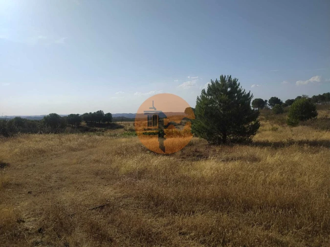 Terreno para Venda em Odeleite Foto 28