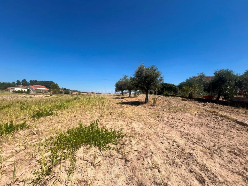 Terreno para Venda em Vale de Prazeres e Mata da Rainha Foto 5