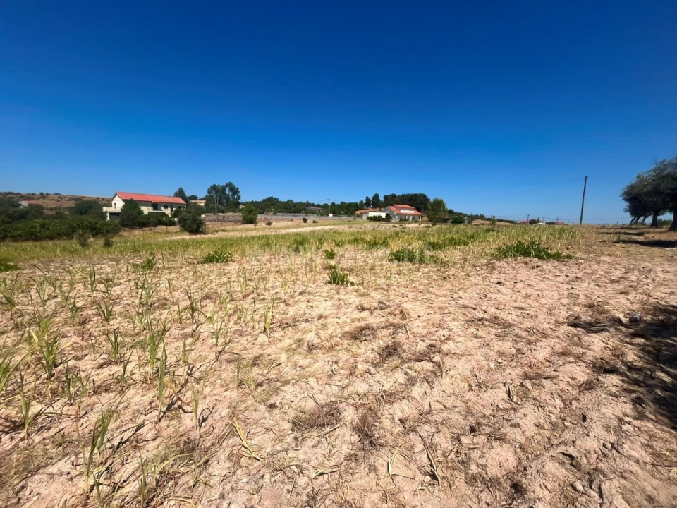 Terreno para Venda em Vale de Prazeres e Mata da Rainha Foto 6