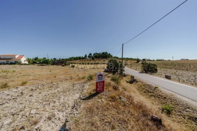 Terreno para Venda em Vale de Prazeres e Mata da Rainha