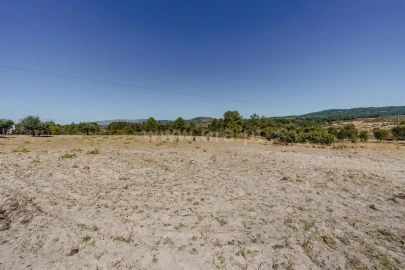 Terreno para Venda em Vale de Prazeres e Mata da Rainha