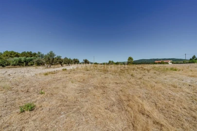 Terreno para Venda em Vale de Prazeres e Mata da Rainha