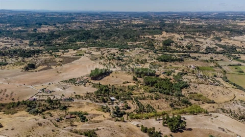 Terreno para Venda em Vale de Prazeres e Mata da Rainha
