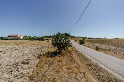 Terreno para Venda em Vale de Prazeres e Mata da Rainha