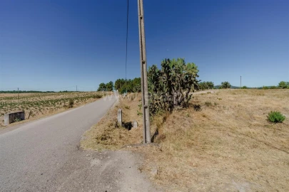 Terreno para Venda em Vale de Prazeres e Mata da Rainha