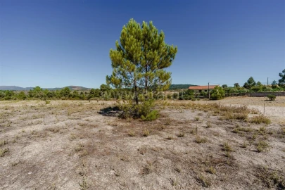 Terreno para Venda em Vale de Prazeres e Mata da Rainha