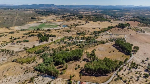 Terreno para Venda em Vale de Prazeres e Mata da Rainha