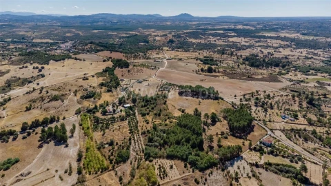 Terreno para Venda em Vale de Prazeres e Mata da Rainha