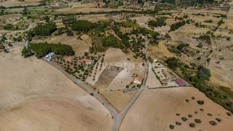 Terreno para Venda em Vale de Prazeres e Mata da Rainha