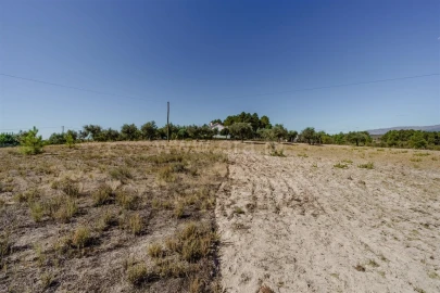 Terreno para Venda em Vale de Prazeres e Mata da Rainha