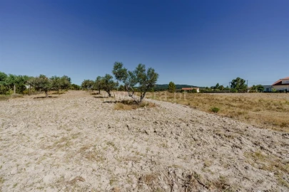 Terreno para Venda em Vale de Prazeres e Mata da Rainha