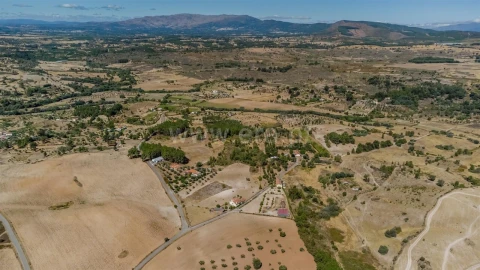 Terreno para Venda em Vale de Prazeres e Mata da Rainha