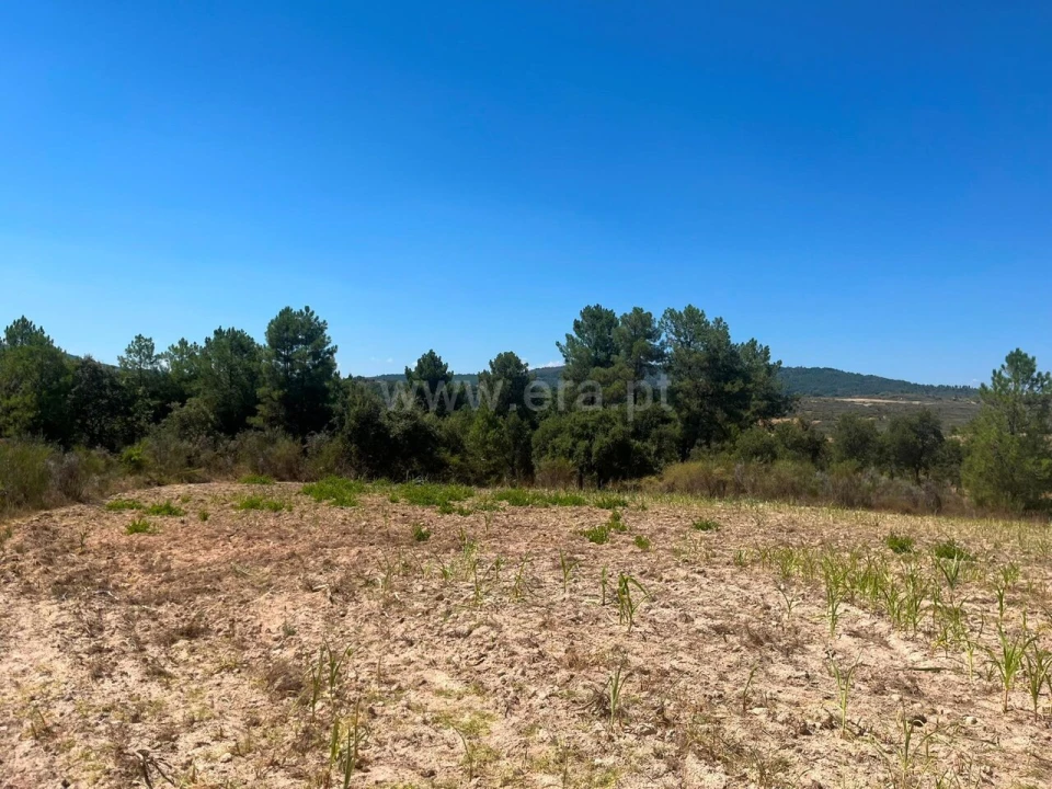 Terreno para Venda em Vale de Prazeres e Mata da Rainha Foto 15