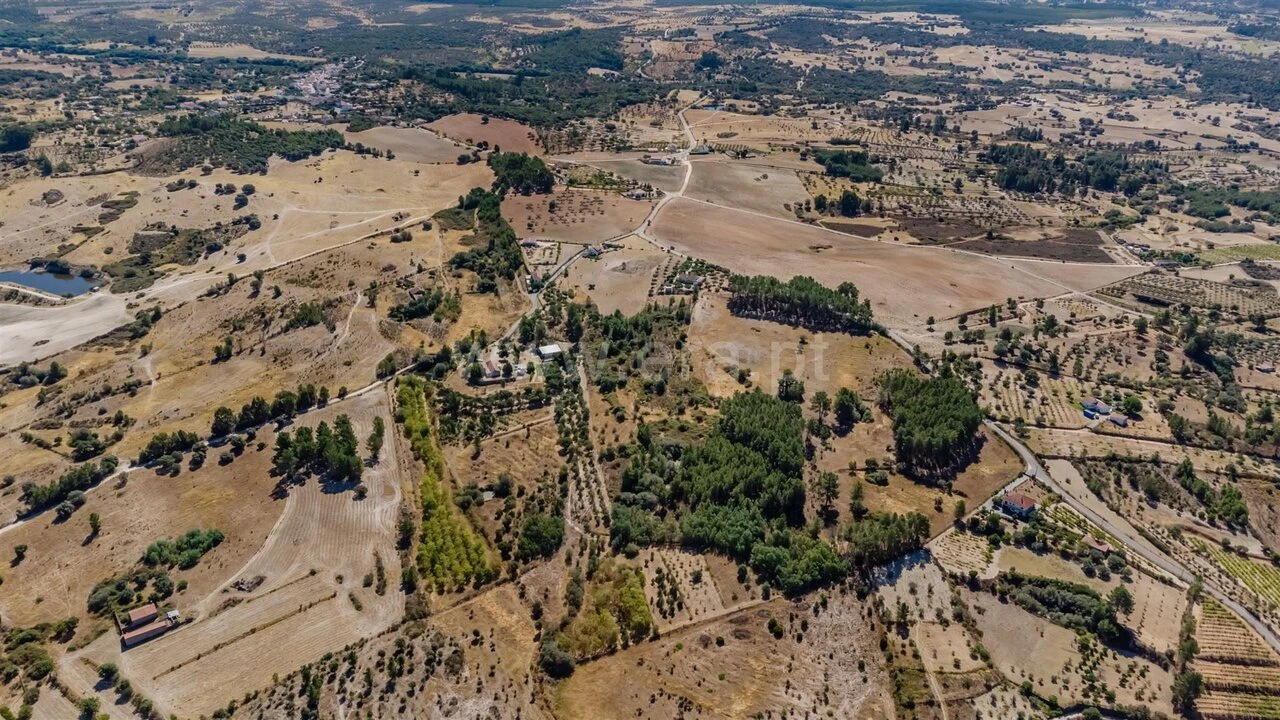 Terreno para Venda em Vale de Prazeres e Mata da Rainha Foto 18