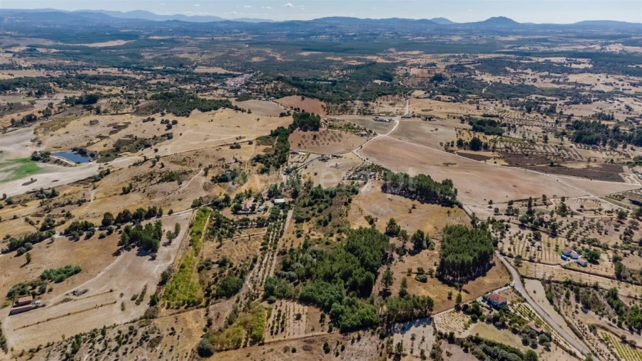 Terreno para Venda em Vale de Prazeres e Mata da Rainha Foto 17