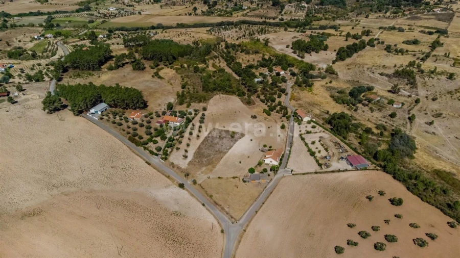 Terreno para Venda em Vale de Prazeres e Mata da Rainha Foto 13