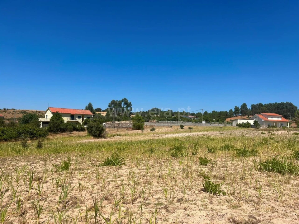 Terreno para Venda em Vale de Prazeres e Mata da Rainha Foto 14