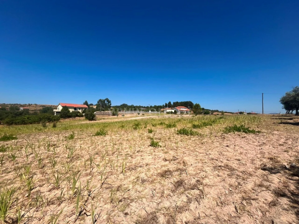 Terreno para Venda em Vale de Prazeres e Mata da Rainha Foto 10