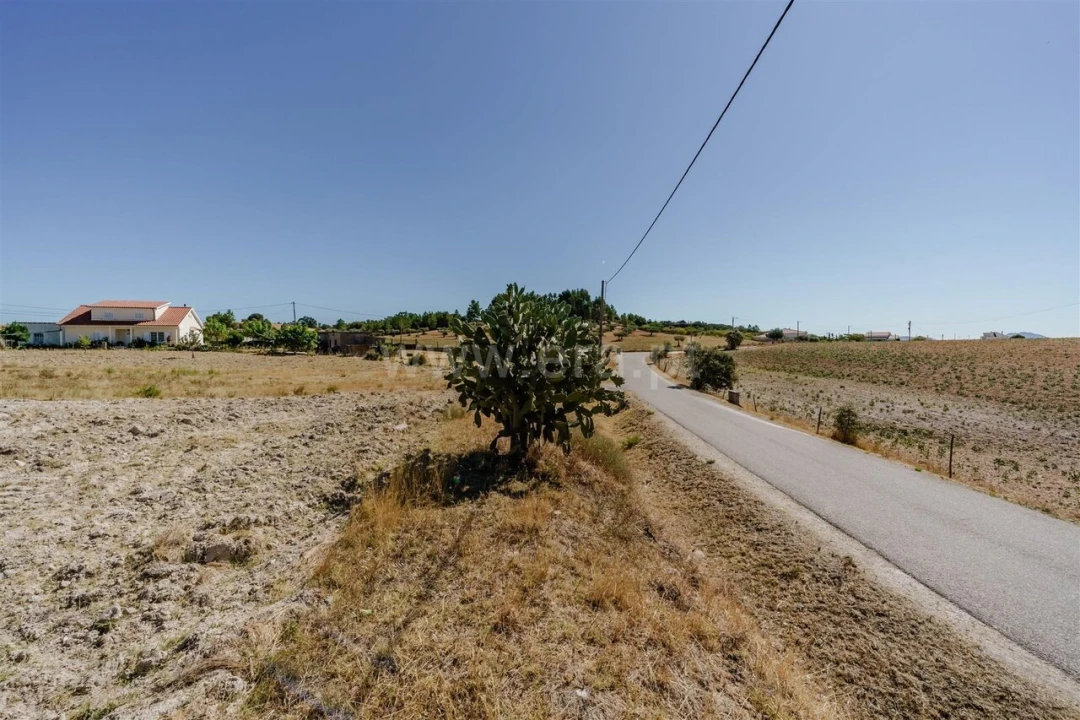 Terreno para Venda em Vale de Prazeres e Mata da Rainha Foto 7