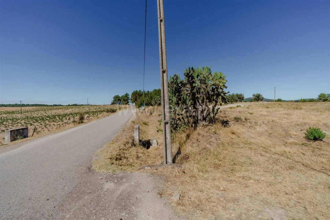 Terreno para Venda em Vale de Prazeres e Mata da Rainha Foto 9