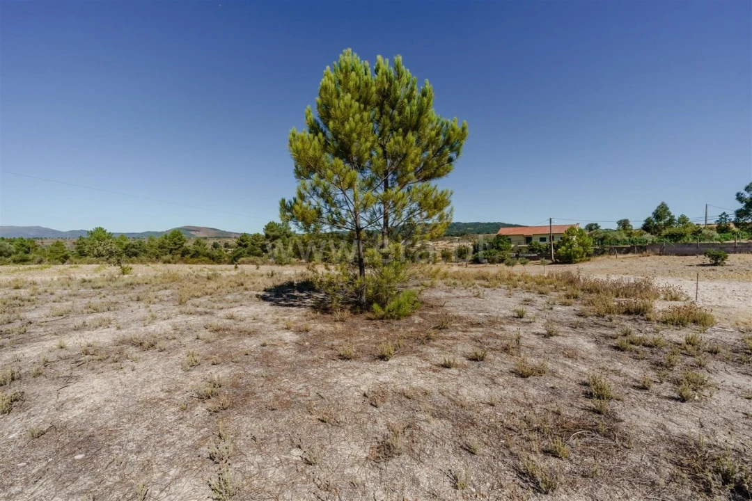 Terreno para Venda em Vale de Prazeres e Mata da Rainha Foto 10