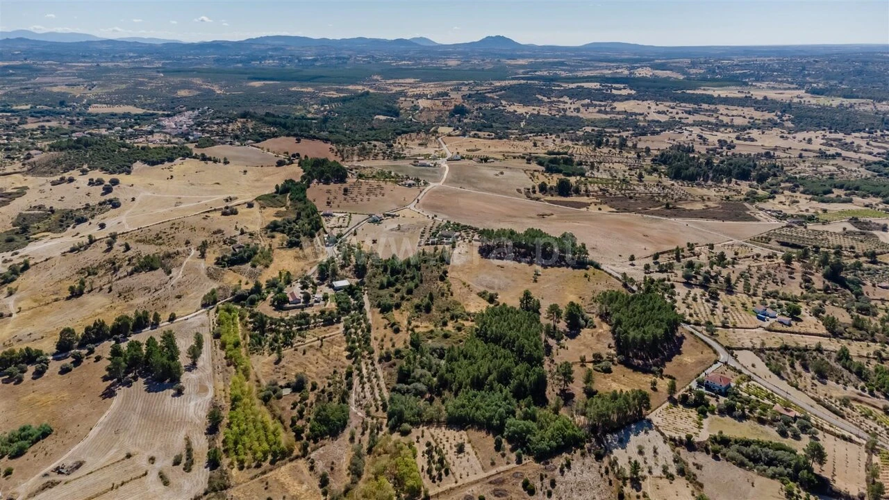 Terreno para Venda em Vale de Prazeres e Mata da Rainha Foto 19