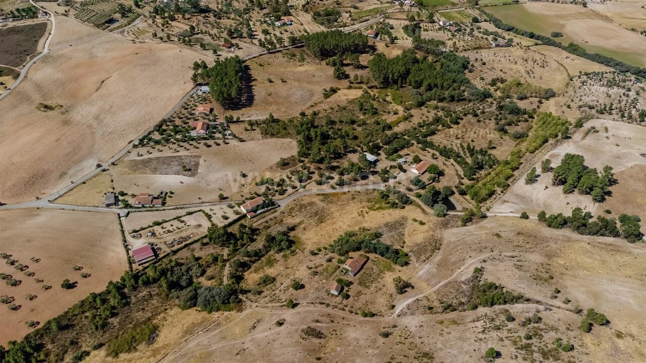 Terreno para Venda em Vale de Prazeres e Mata da Rainha Foto 3