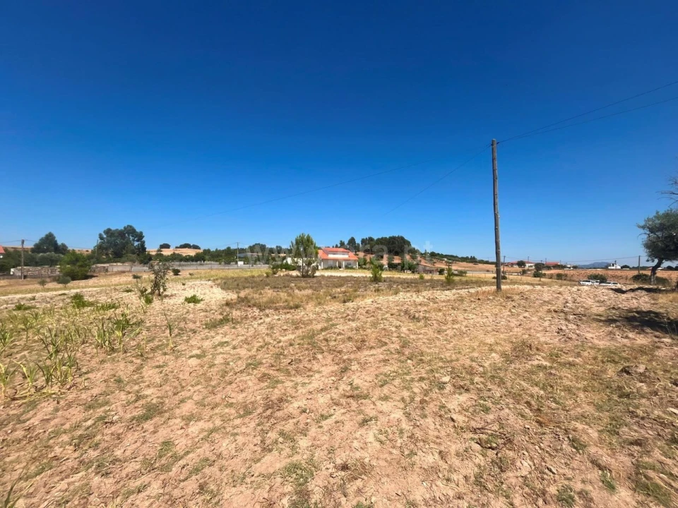 Terreno para Venda em Vale de Prazeres e Mata da Rainha Foto 1