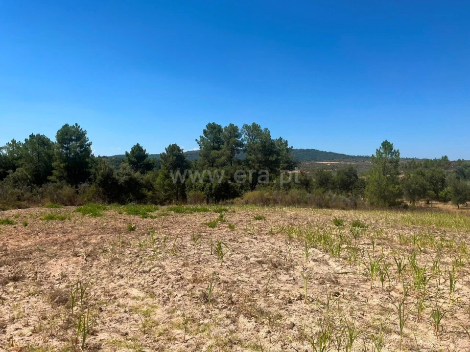 Terreno para Venda em Vale de Prazeres e Mata da Rainha Foto 11