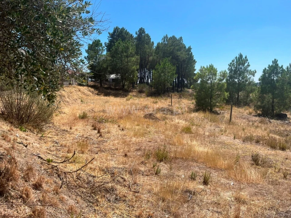 Terreno para Venda em Vale de Prazeres e Mata da Rainha Foto 12