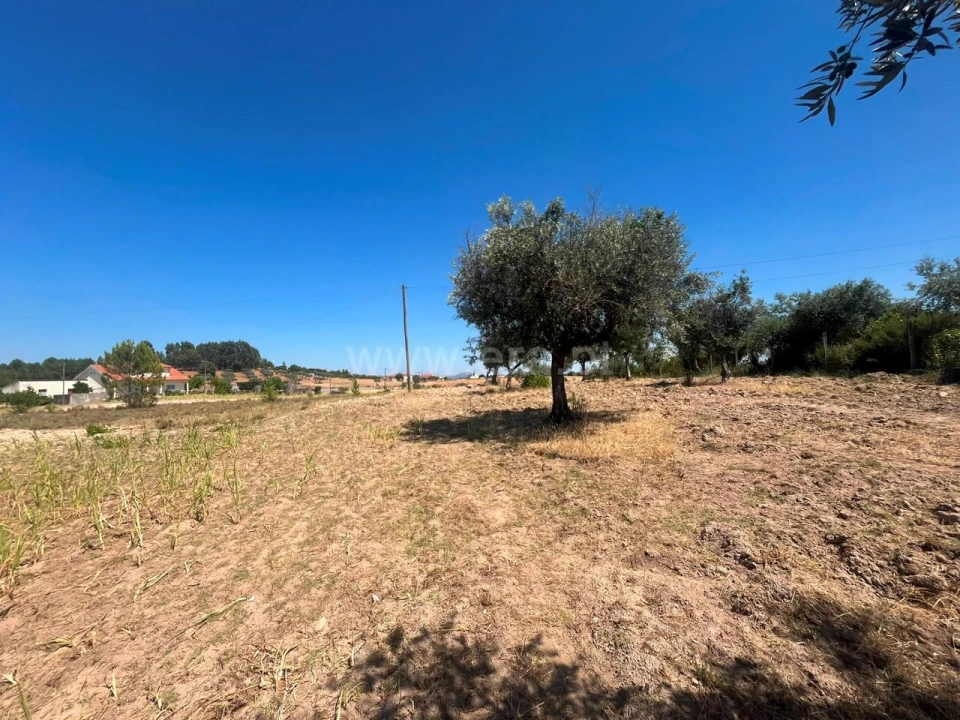 Terreno para Venda em Vale de Prazeres e Mata da Rainha Foto 8