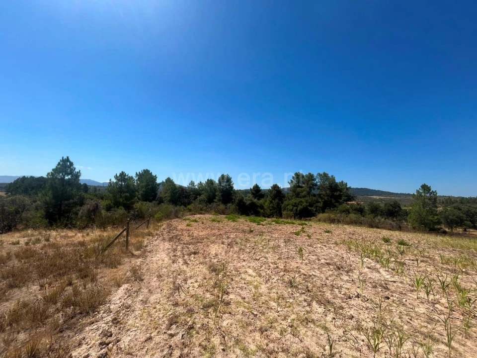 Terreno para Venda em Vale de Prazeres e Mata da Rainha Foto 7