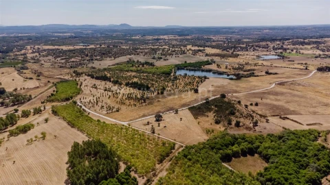 Terreno para Venda em Orca