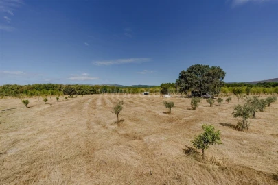 Terreno para Venda em Orca
