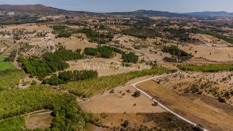 Terreno para Venda em Orca