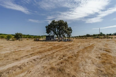 Terreno para Venda em Orca