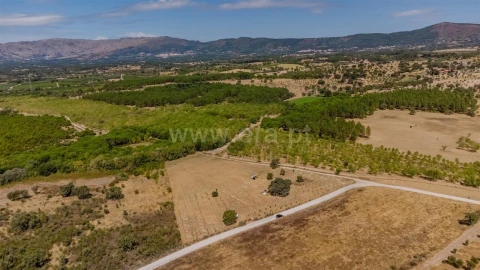 Terreno para Venda em Orca