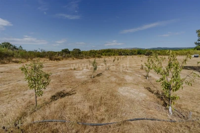 Terreno para Venda em Orca