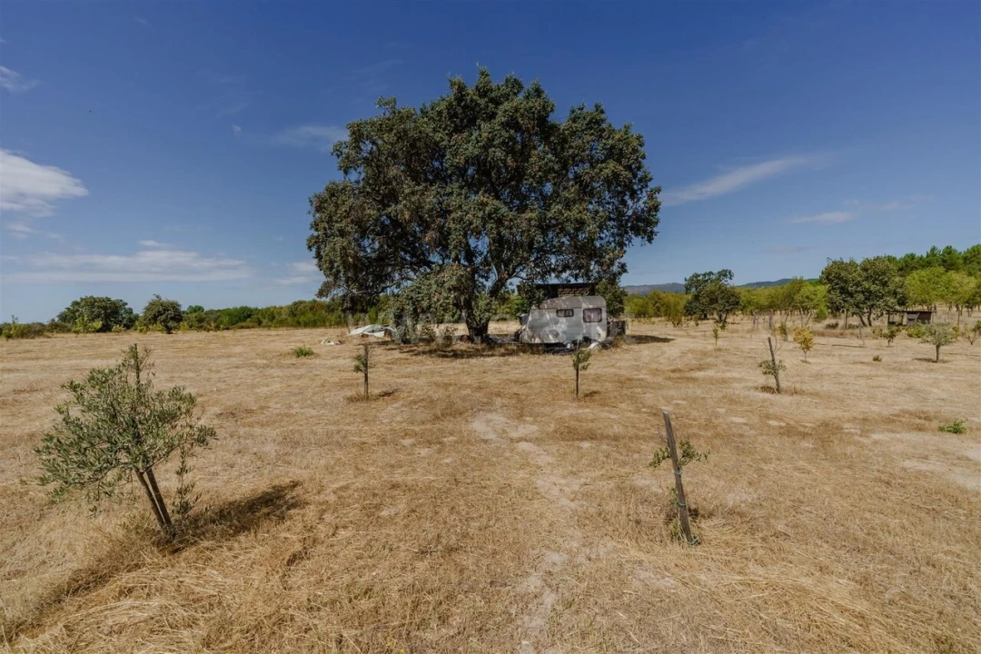 Terreno para Venda em Orca Foto 11