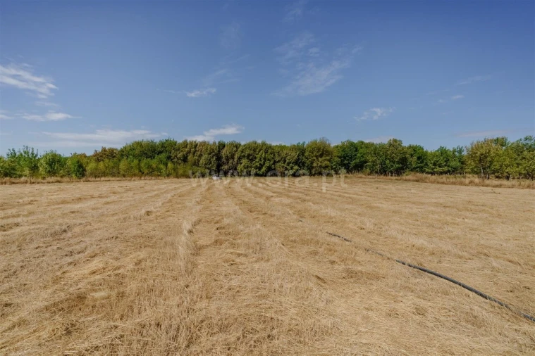Terreno para Venda em Orca Foto 16