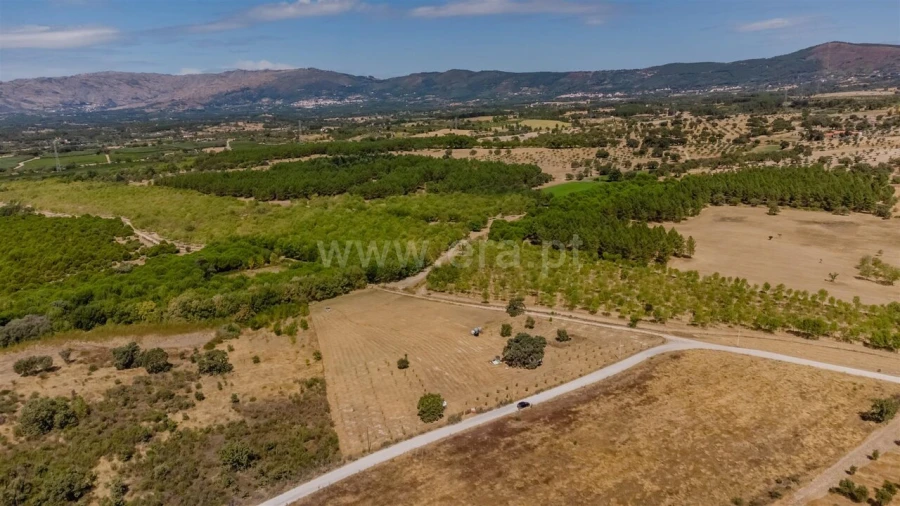 Terreno para Venda em Orca Foto 3