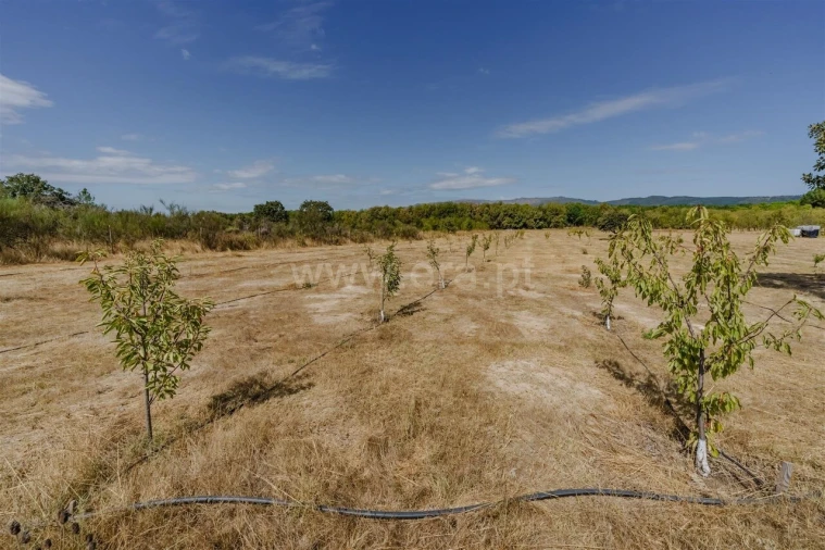 Terreno para Venda em Orca Foto 10