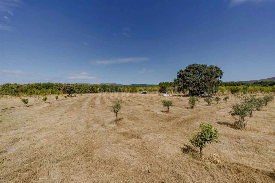 Terreno para Venda em Orca Foto 9