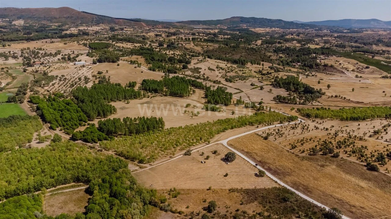 Terreno para Venda em Orca Foto 4