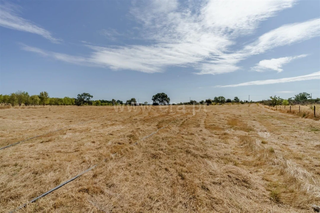 Terreno para Venda em Orca Foto 18